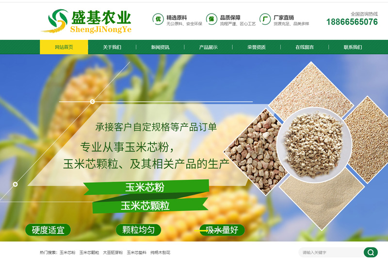 網(wǎng)站建設(shè)